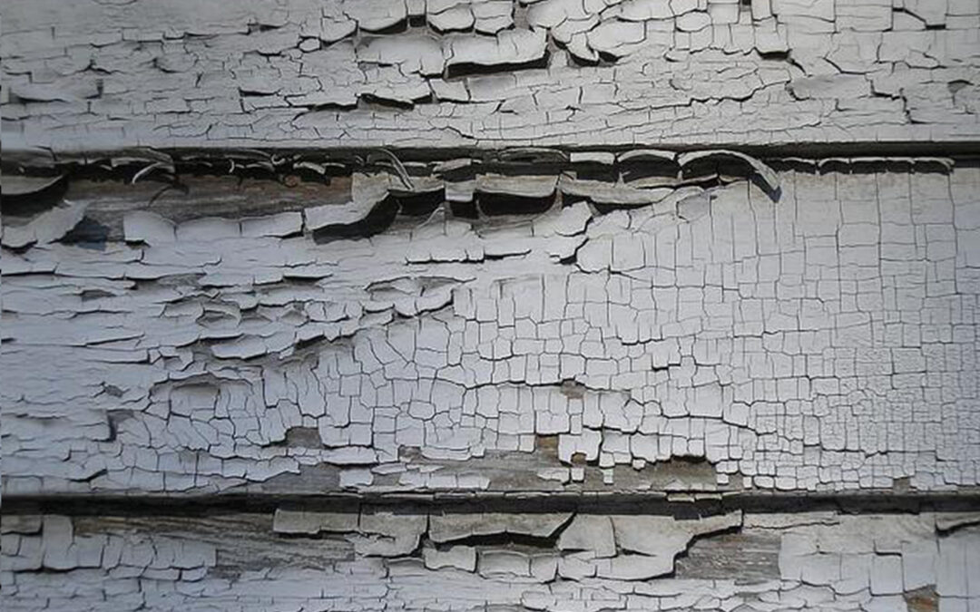 5 REASONS YOU NEED A LEAD SAFE CONTRACTOR